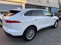 Jaguar F-Pace 2.0d Pure AWD 180CV*EURO6*PELLE - thumbnail 4