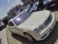 Mercedes-Benz CL 55 AMG Kompressor V8 Limited Edition cat. Weiß - thumbnail 13