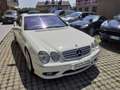 Mercedes-Benz CL 55 AMG Kompressor V8 Limited Edition cat. Weiß - thumbnail 5