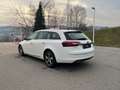 Opel Insignia Business Edition Weiß - thumbnail 6
