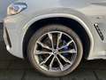 BMW X3 M40 AHK/LASER/PANORAMA/STNDHZNG/360°/HEADUP Grau - thumbnail 10