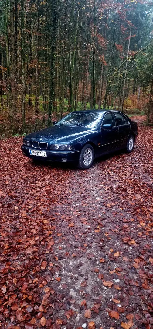 BMW 525 525tds Österreich-Paket Зелений - 1