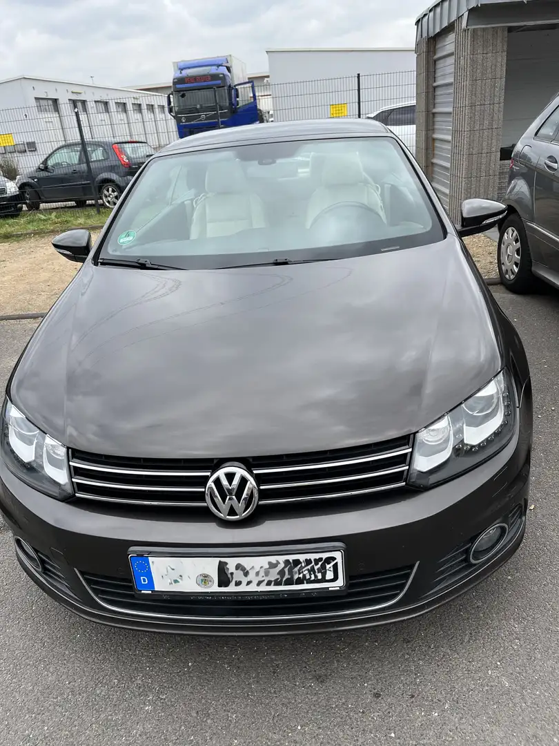 Volkswagen Eos Eos+1.4+TSI Braun - 1