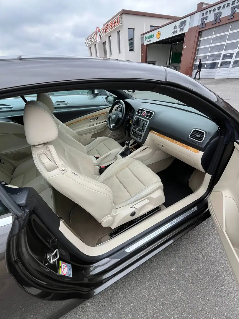 Volkswagen Eos Eos+1.4+TSI Braun - 2