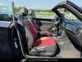 Volkswagen Maggiolino Cabrio 2.0 TDI DSG Sport Zwart - thumbnail 25