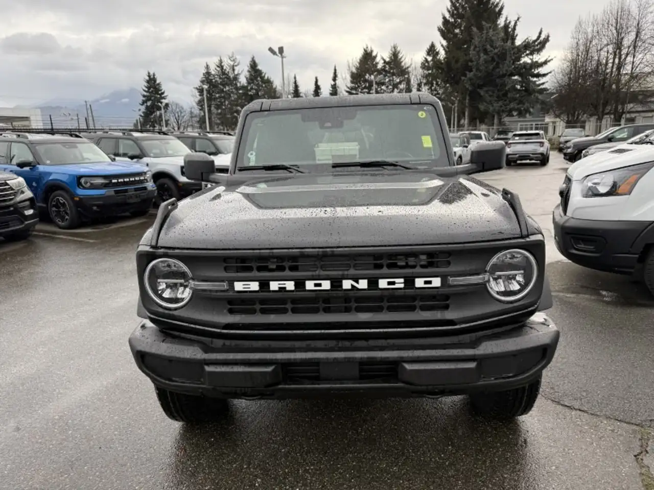 Ford Bronco fotografie Ford Bronco
