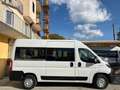 Fiat Ducato 2.3 MJT 140Cv 9 POSTI PANORAMA L2 H2 PULMINO Bianco - thumbnail 5