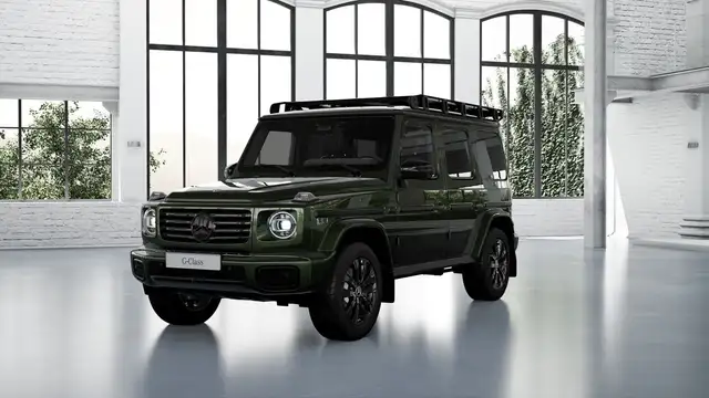 Mercedes-Benz G 450 d Professional/RearTV/Night/Multikontursitz