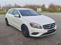 Mercedes-Benz A 160 A-Klasse Diesel CDI Weiß - thumbnail 6