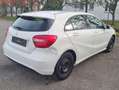 Mercedes-Benz A 160 A-Klasse Diesel CDI Weiß - thumbnail 5