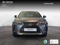 Lexus UX 250h 2.0 Business Gris - thumbnail 5