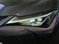 Lexus UX 250h 2.0 Business Gris - thumbnail 30