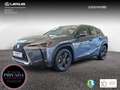 Lexus UX 250h 2.0 Business Gris - thumbnail 1