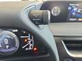 Lexus UX 250h 2.0 Business Gris - thumbnail 16