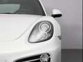 Porsche Cayman Flat 6 2.7 L - thumbnail 12