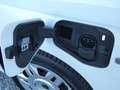 Ford Transit Connect 1.5 PHEV Trend AUT+Navi+PDC Weiß - thumbnail 11