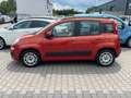 Fiat Panda Panda Lounge/Klima/2.Ha/ZV/TÜV NEU/5Tür/Eu5/ Orange - thumbnail 7