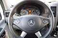 Mercedes-Benz Sprinter 319 3.0 CDI V6 AUT. XENON, TREKHAAK, CAMERA, NAVI, Wit - thumbnail 9