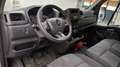 Renault Master GRÚA PLATAFORMA PORTACOCHES 3.5T L3 2.3 BL Blanco - thumbnail 4