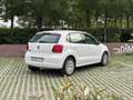 Volkswagen Polo Polo 1.2 Advance BMT Advance Blanco - thumbnail 3