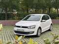 Volkswagen Polo Polo 1.2 Advance BMT Advance Blanco - thumbnail 1