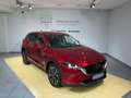 Mazda CX-5 AL-Sports *AWD*BOSE*Matrix Rot - thumbnail 1