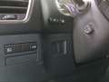 Lexus NX 300 300h Executive Navigation 4WD Grijs - thumbnail 16