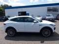 Jaguar E-Pace S AWD, Navigation, Aluf. 20", Kamera Bianco - thumbnail 4