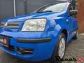 Fiat Panda 1.2 Dynamic/Airco/ 85.891 NAP/Plaatje/Apk nieuw Blu/Azzurro - thumbnail 13