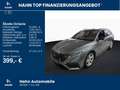 Skoda Octavia Combi 2.0TSI DSG RS Navi AHK Matrix ACC Grau - thumbnail 2
