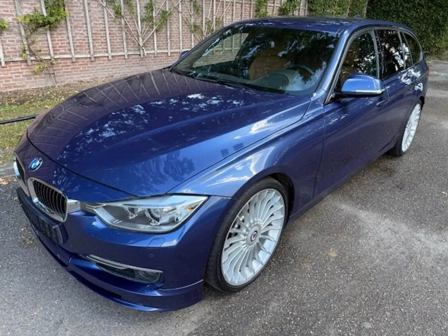 Alpina B3 1 hand | ALPINABLAU II | Trekhaak Modrá - 2