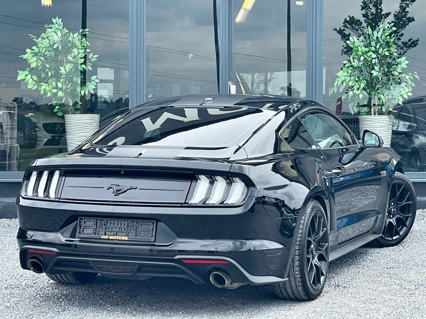 Ford Mustang FACELIFT /EDITION FORD PERFORMANCE //BLACK EDITION Noir - 2