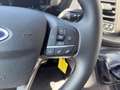 Ford Transit Custom 320 L2H1 9-Sitzer+PDC+TEMP+KLIMA Blanc - thumbnail 18