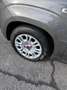 Fiat Panda 1000 Hybrid Cv. 70 Easy 5 Posti - thumbnail 8