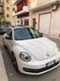 Volkswagen Maggiolino Maggiolino 2013 2.0 tdi Sport 150cv dsg Bianco - thumbnail 1