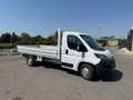 Fiat Ducato FIAT Ducato 35 2.3 MJT 140CV PLM Cabinato Maxi (2 Bianco - thumbnail 1