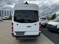 Mercedes-Benz Sprinter SPRINTER II KASTEN 316 CDI KLIMA STANDHEIZUNG Weiß - thumbnail 5