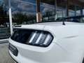 Ford Mustang Convertible BRD Unfallfrei 1 Vorbesitzer Weiß - thumbnail 17
