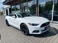 Ford Mustang Convertible BRD Unfallfrei 1 Vorbesitzer Weiß - thumbnail 1