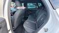 SEAT Arona 1.0 TSI FR DSG Weiß - thumbnail 12