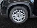 Fiat Panda 4x2 FireFly Hybrid 70 Pandina Schwarz - thumbnail 13