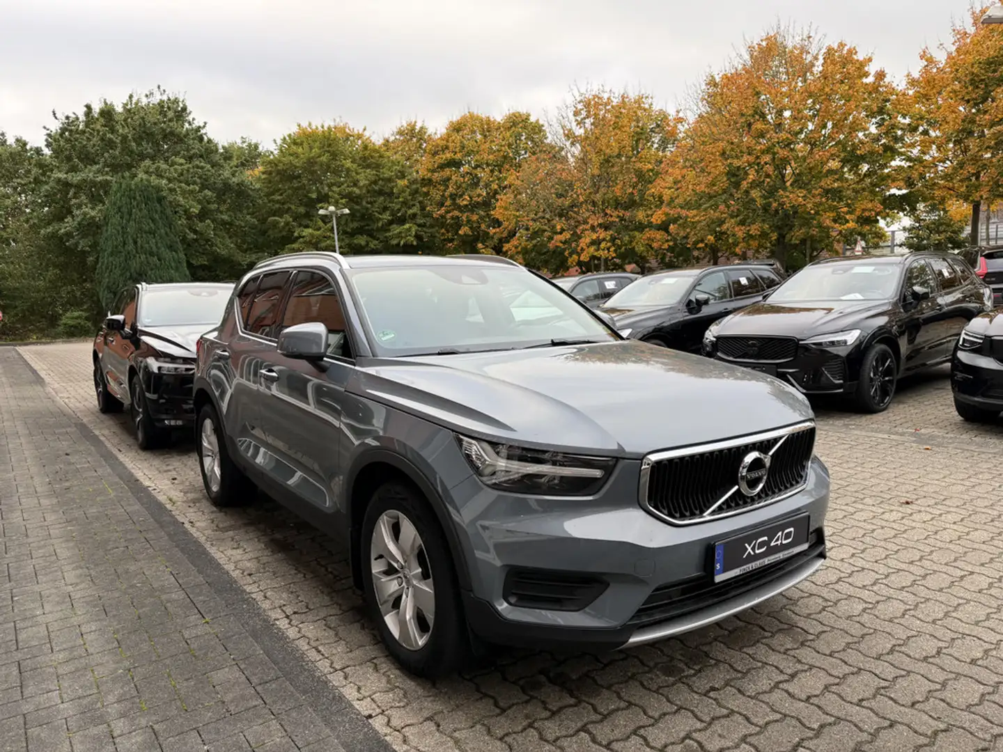 Volvo XC40 D4 AWD Momentum Pro Gris - 1