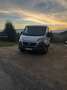 Fiat Ducato 35 L2H1 130 - thumbnail 6