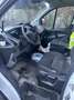 Ford Transit Custom Transit Custom Kasten 2,2 TDCi L1H1 250 Startup Startup - thumbnail 8