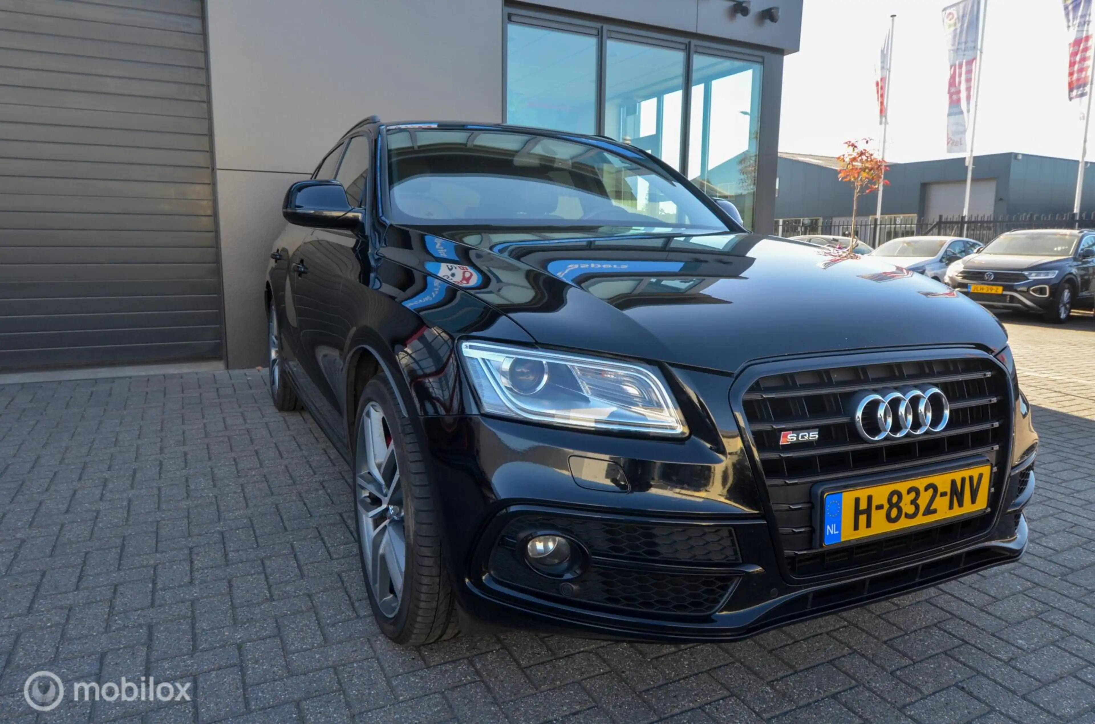 Audi SQ5 3.0 TDI SQ5 quattro — photo 3