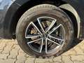 SEAT Alhambra Alhambra 2,0 TDI 4WD DPF **2Besitz**AHK**Allrad** Noir - thumbnail 8
