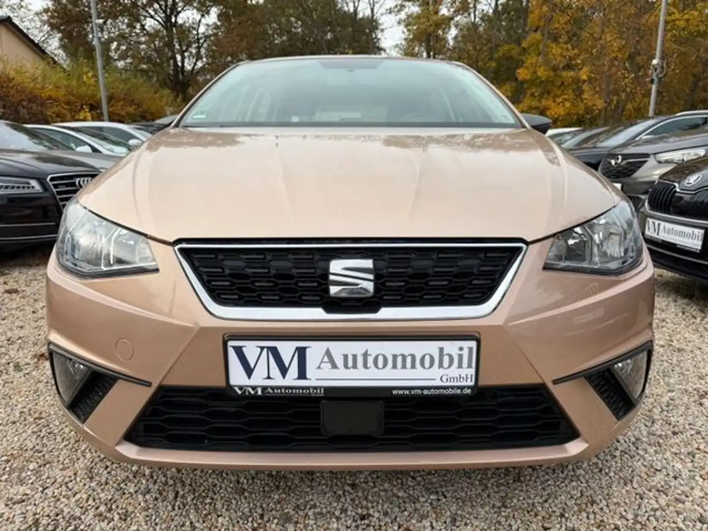 SEAT Ibiza TSI Reference Klima*Tempomat Beige - 2