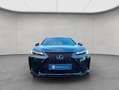 Lexus Sonstige 300h F-Sport Design Schwarz - thumbnail 7