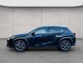 Lexus Sonstige 300h F-Sport Design Schwarz - thumbnail 2