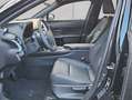Lexus Sonstige 300h F-Sport Design Schwarz - thumbnail 8